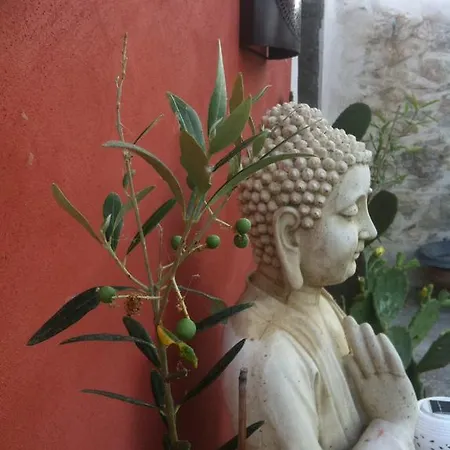 Chez Mina قرقشونه